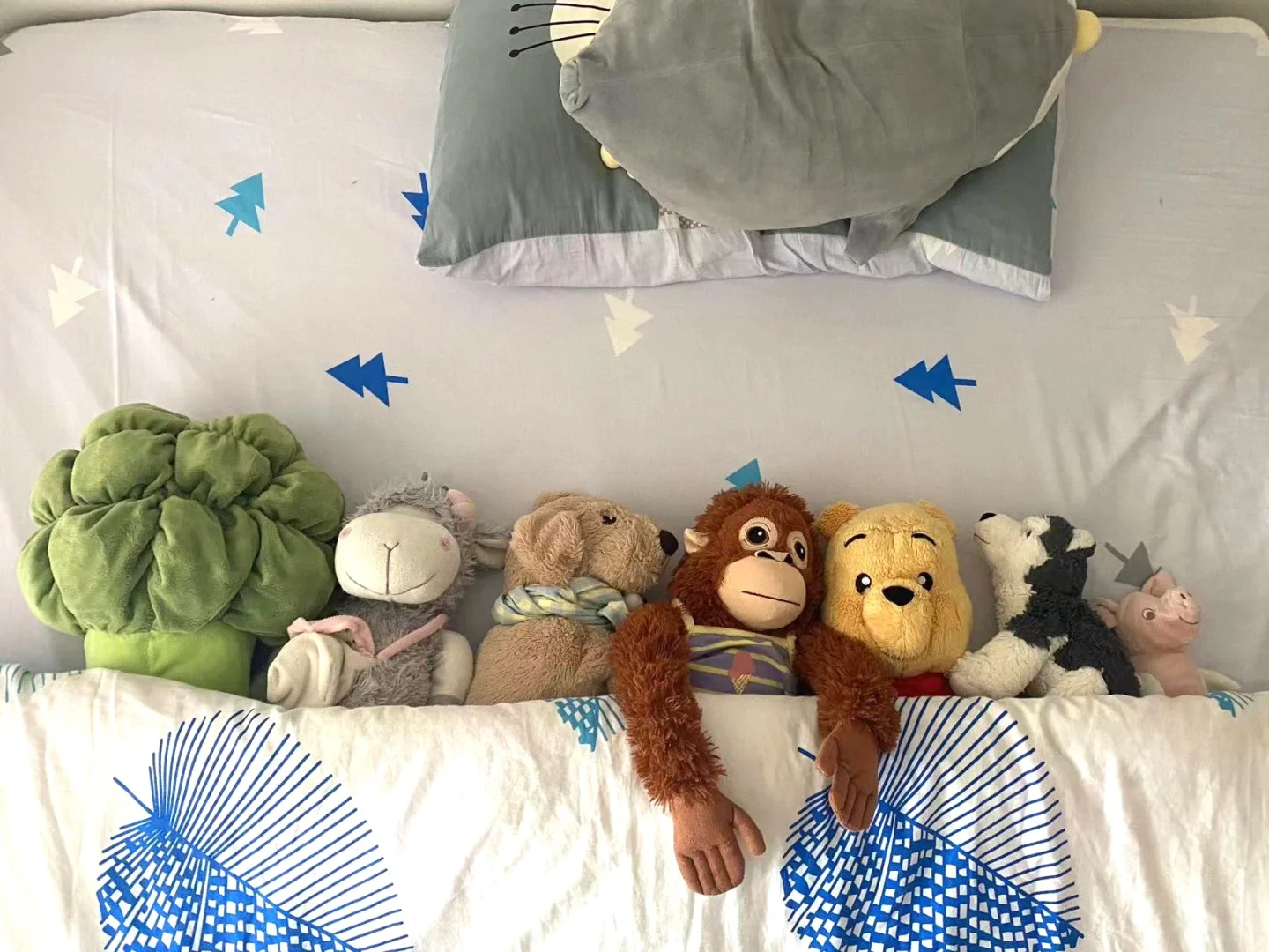 大学生的宝宝们