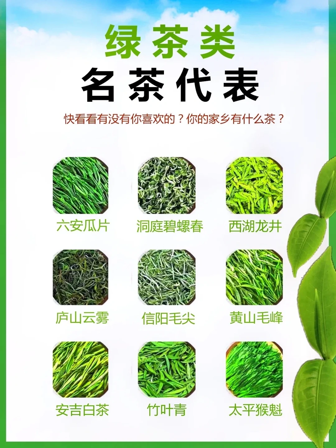 六大茶类中的名茶代表，你都喝过那些呢？