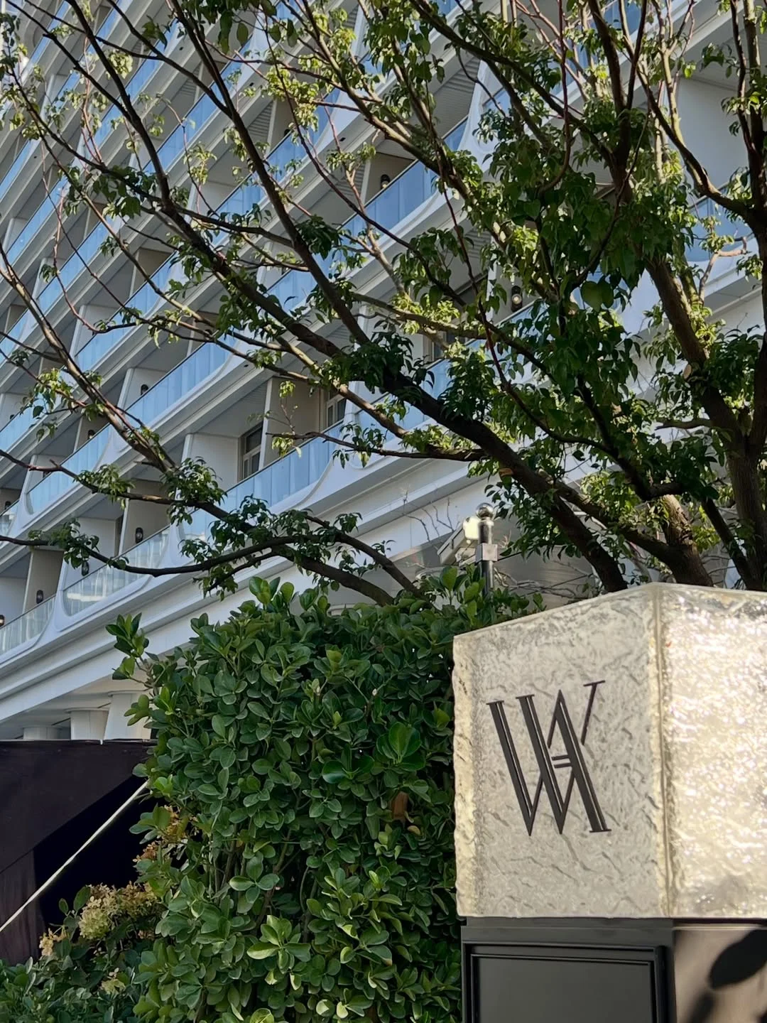 外企经理角度告诉商科生能投哪些高潜岗位