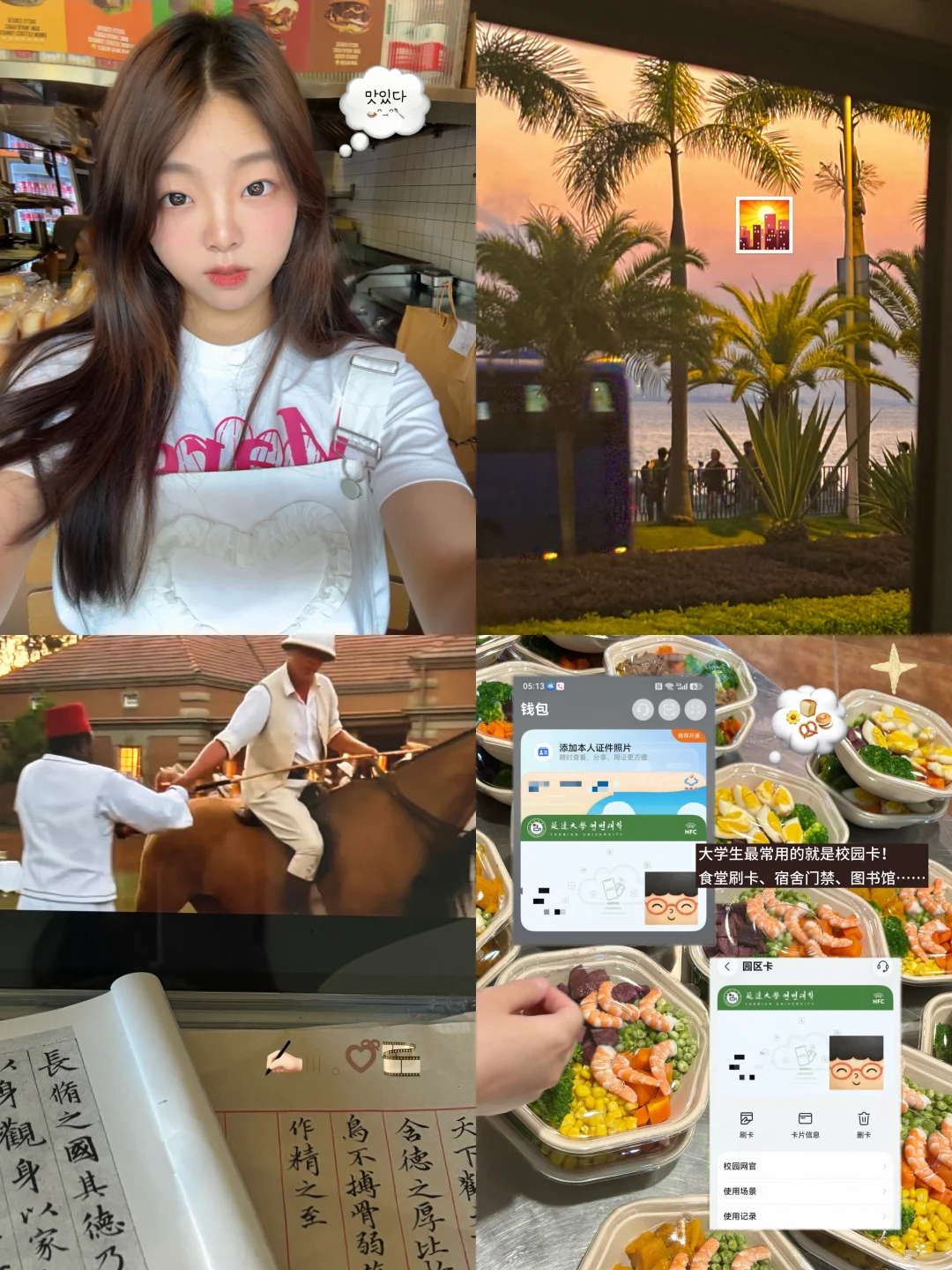 准大一开学前100%要掌握的生存技能🔖