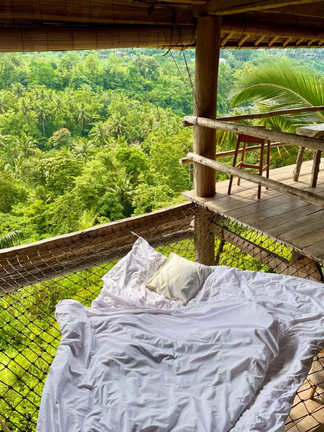 巴厘岛刚回！🍃在乌布住到禅意自然Airbnb