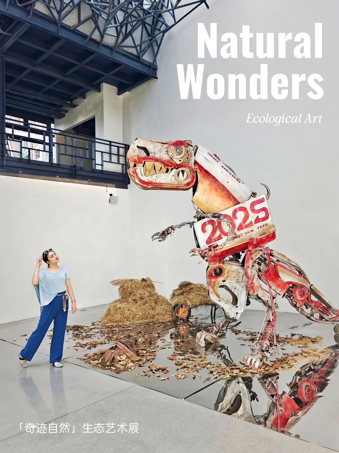 超小众艺术空间新展开幕，来看机械大恐龙！