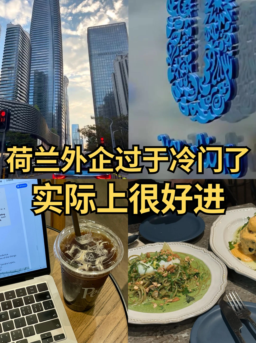 在上班体感方面，你永远可以相信荷兰外企