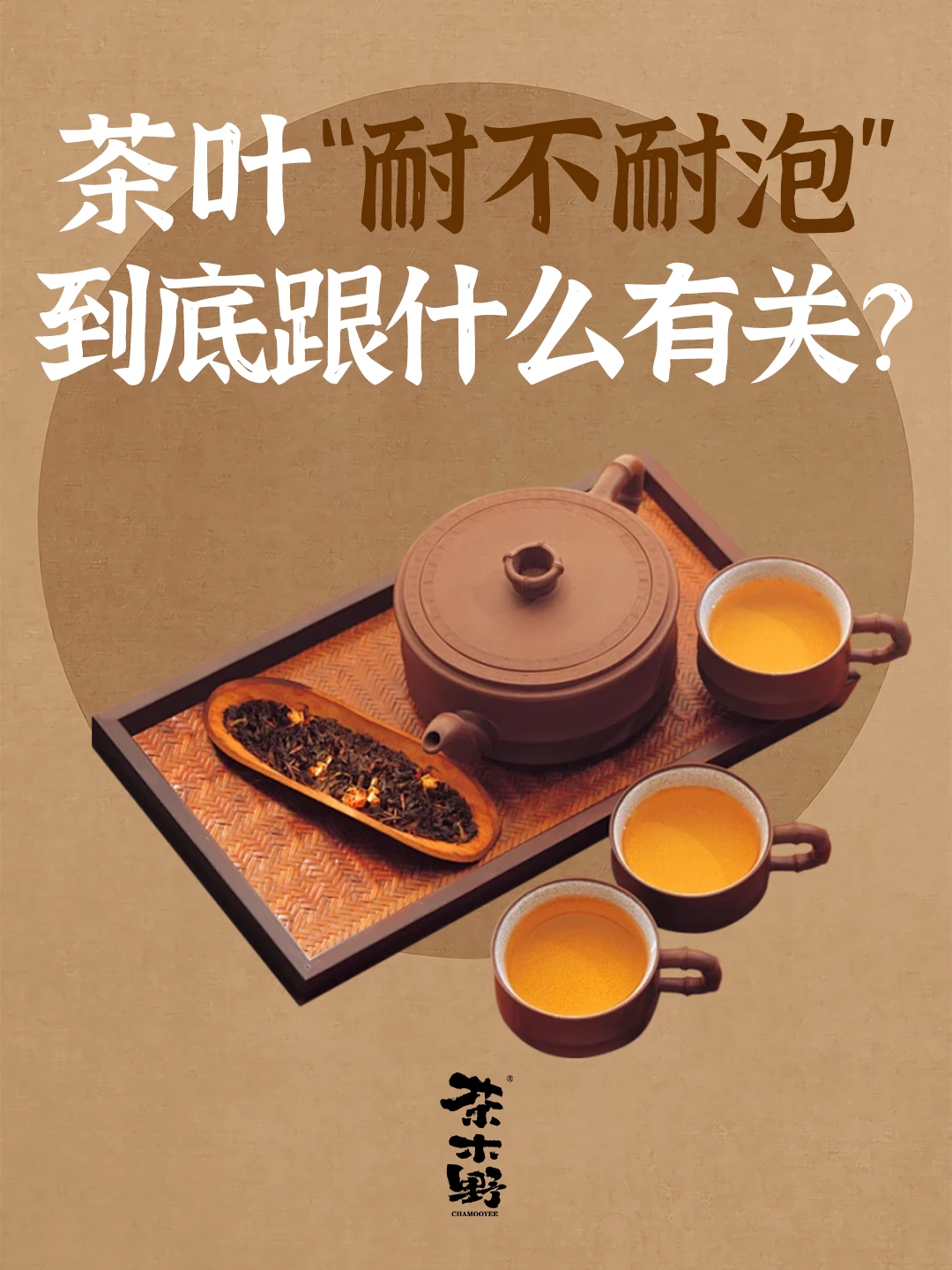 知识分享丨茶叶越贵越耐泡？3分钟看清🔥