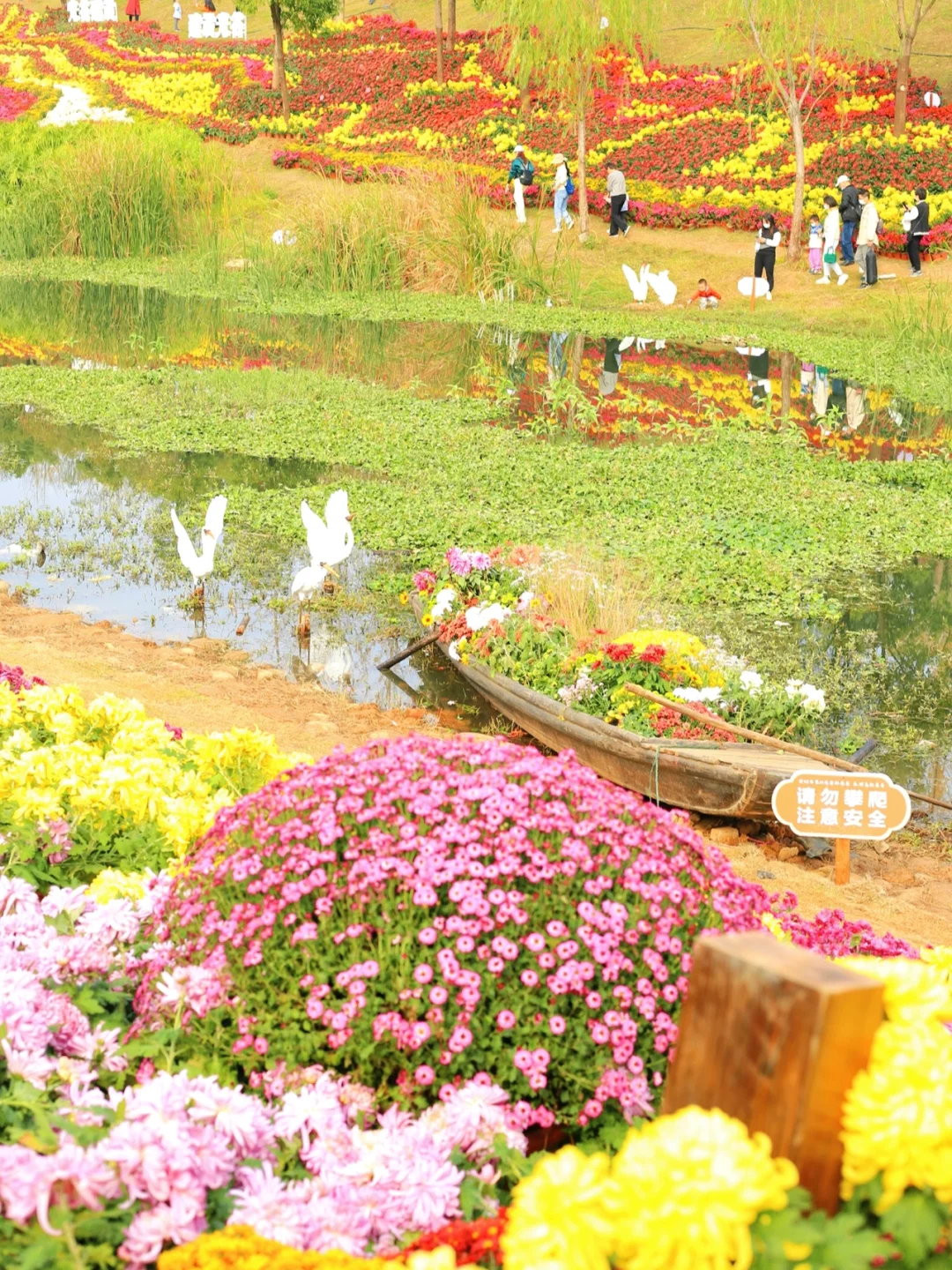 武汉遛娃9️⃣8️⃣—这里遛娃看菊展真的绝绝子