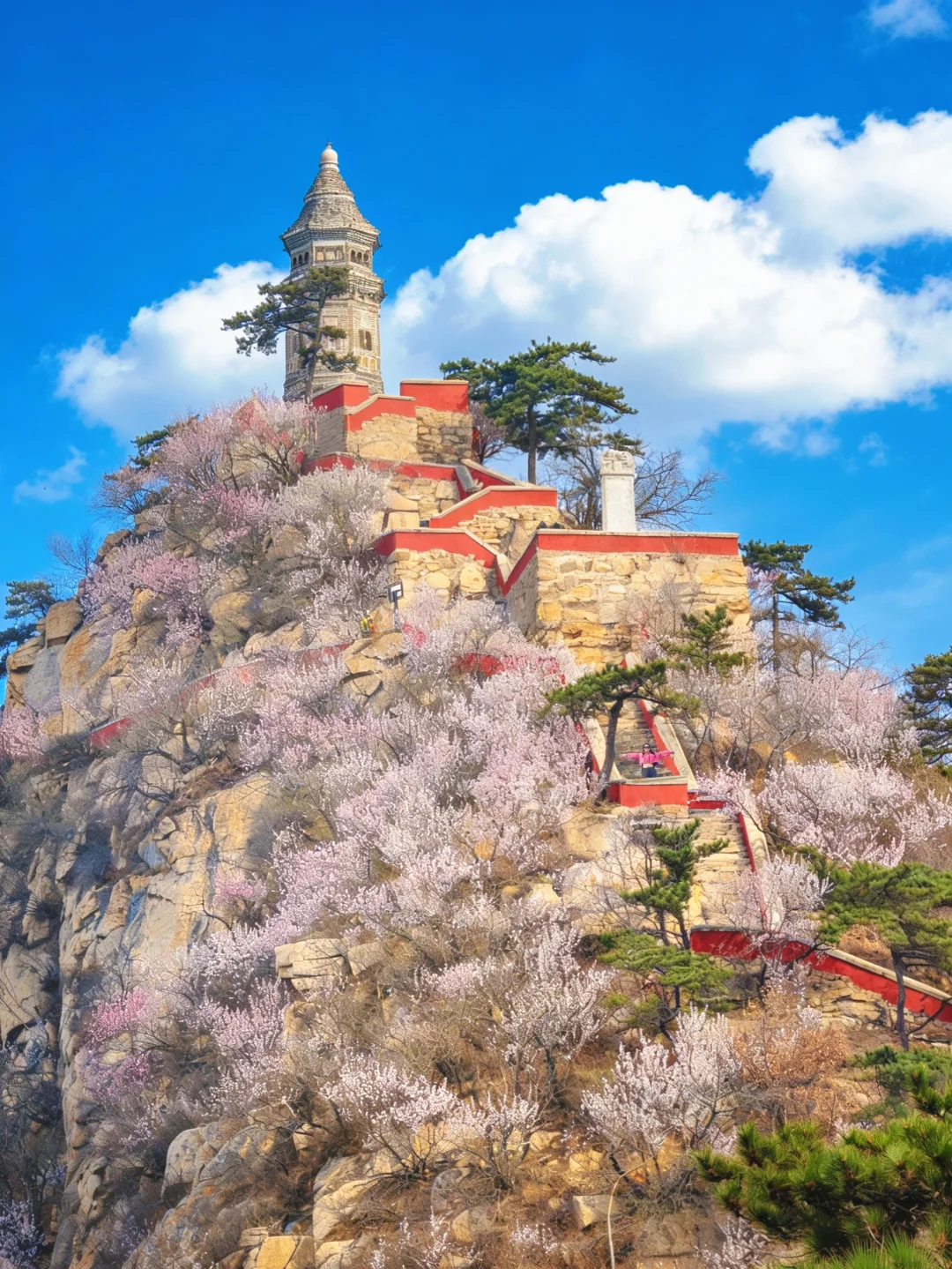 北京1h乾隆爷严选春游赏花秘境🌸附攻略