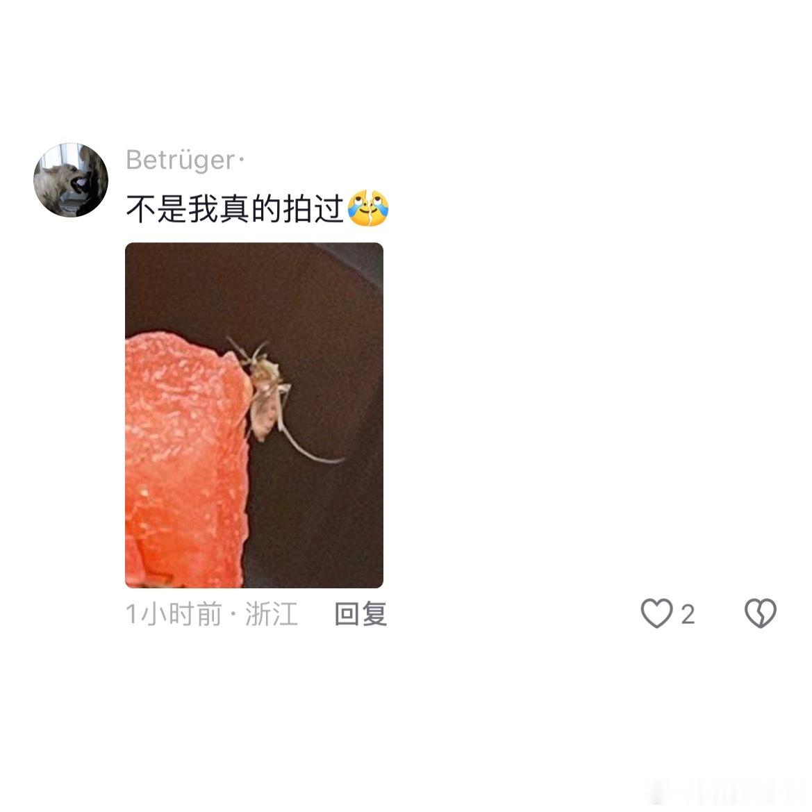 原来蚊子还会吸果汁[哆啦A梦吃惊]  ​​​