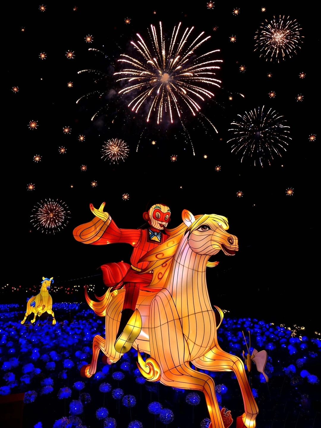 为了赴这场天宫灯会🏮我特意去了趟北京❗️❗️