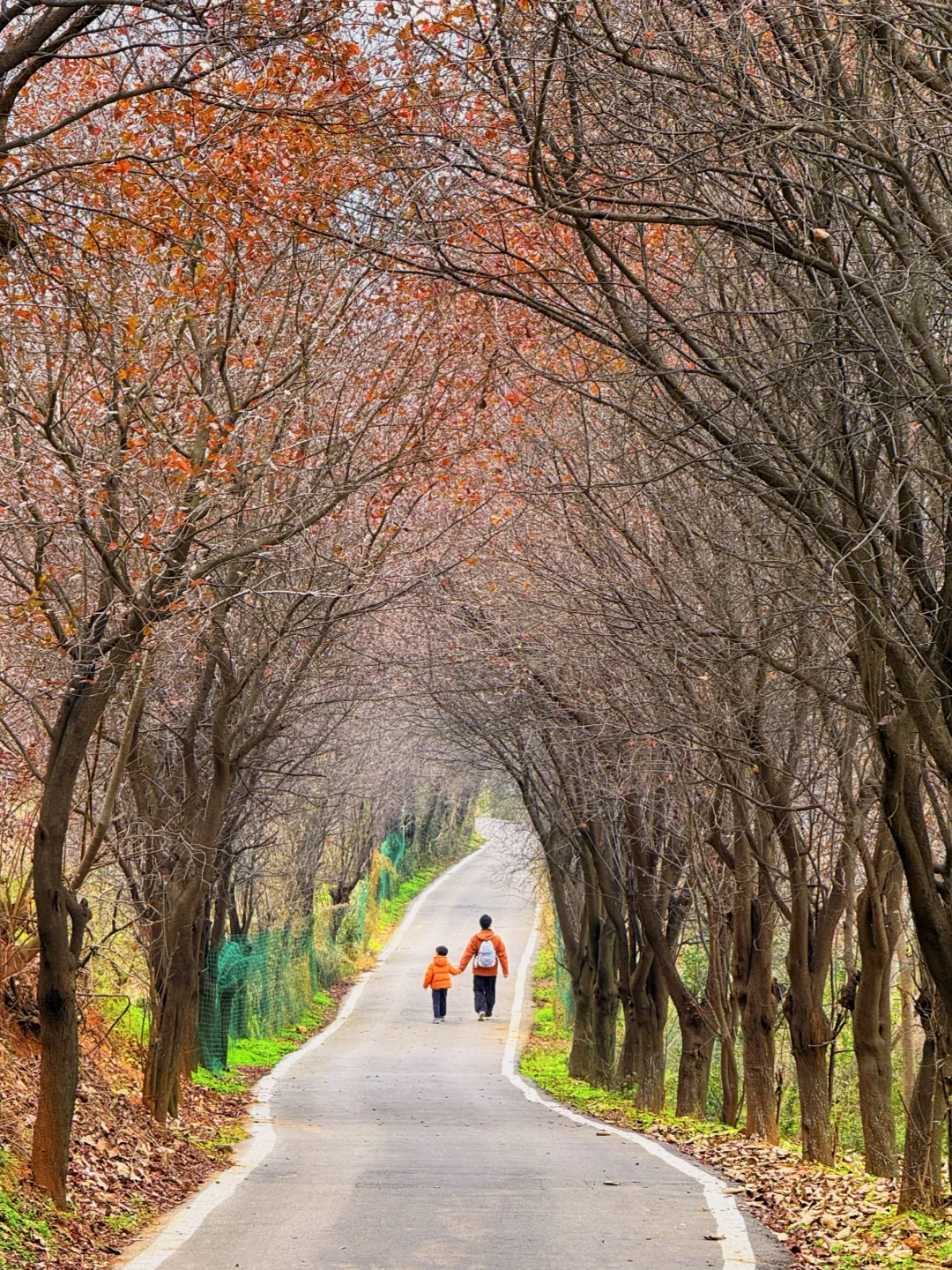 在西安！6️⃣条半天时间即可的亲子徒步路线！