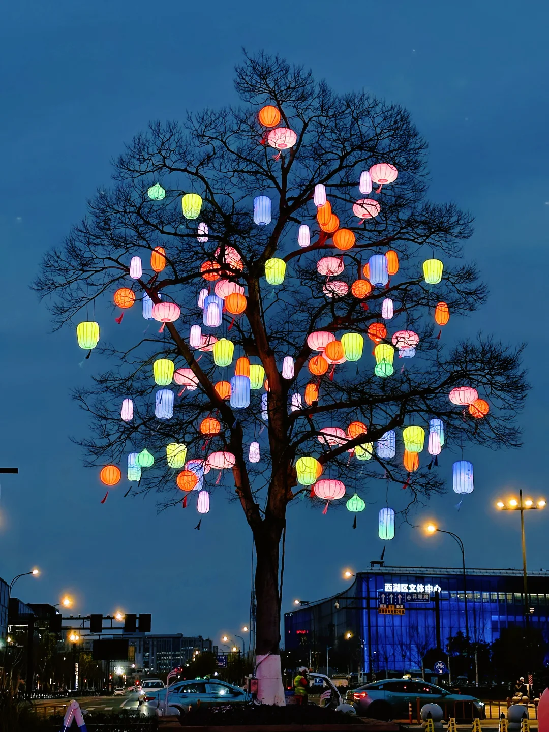 1.29实拍❗️西溪湿地网红花灯树亮了！