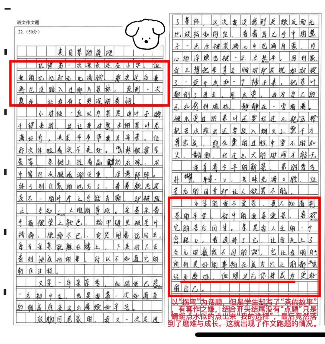 从作文角度看长沙中考语文成绩