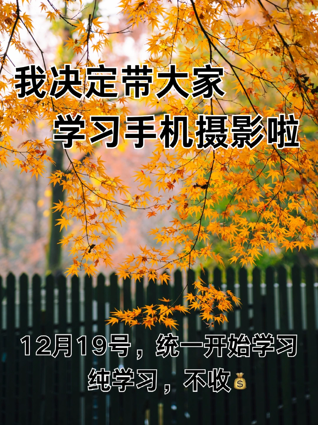 我决定带大家学习手机摄影啦！！