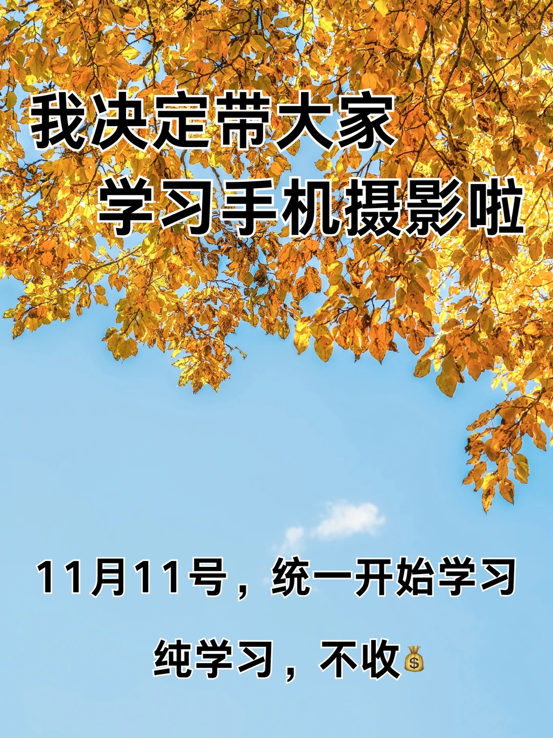 我决定带大家学习手机摄影啦！！