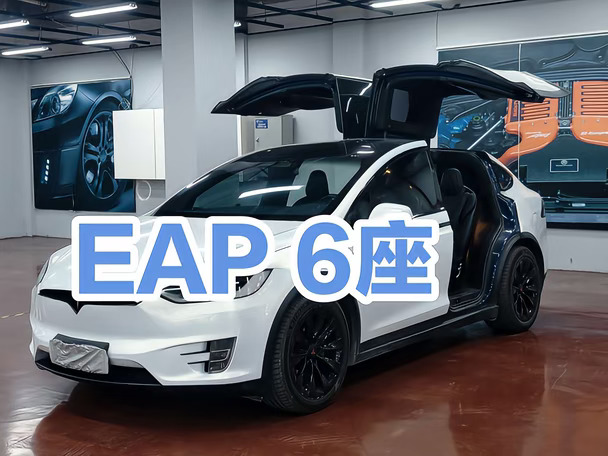 19年特斯拉长续航毛豆X带EAP！七座位！
