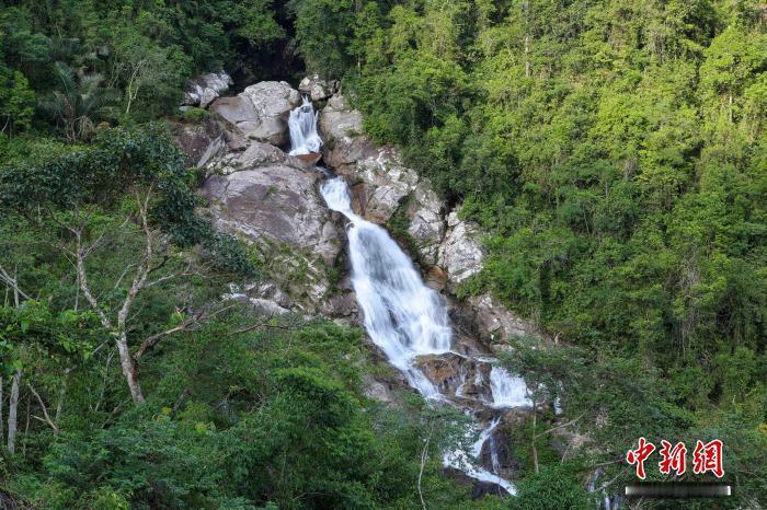 #自贸港百问# 【绿水青山如何转化为金山银山？海南森林“四库”联动打通新通道】“向绿图强”是高标准建设海南自贸港的鲜明底色和重要支撑。海南省政府办公厅近日印发《进一步推进海南省森林“四库”建设的实施意见》，旨在以“扩绿、兴绿、护绿”为基础，进一步推进海南省森林水库、钱库、粮库、碳库 ​