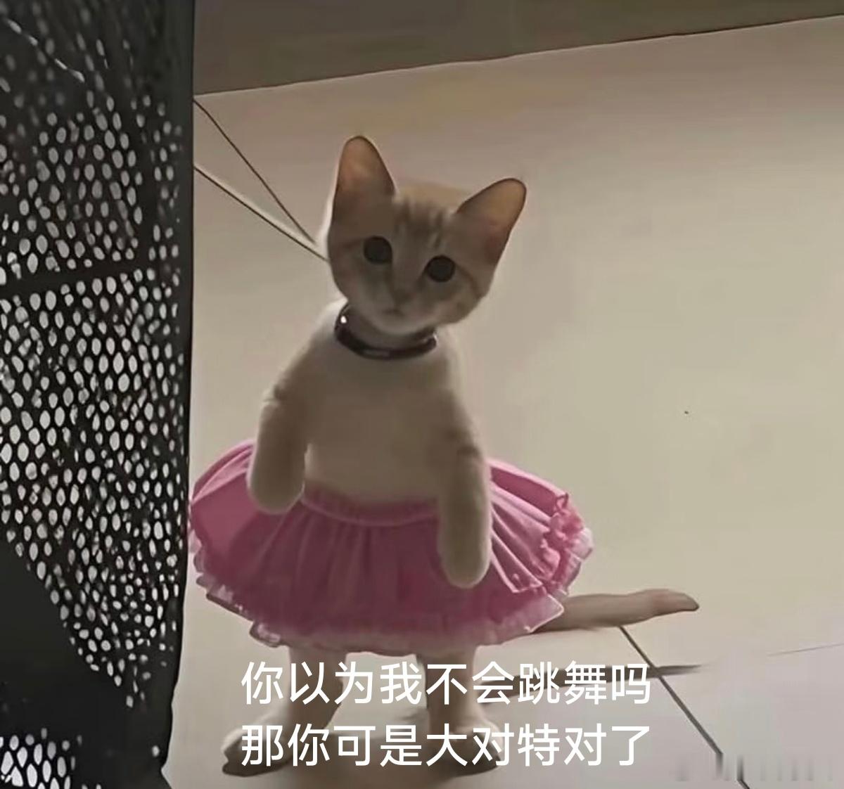 马上就到920四子滴出道一周年庆了~920当天会发一首新歌~编曲老师给编了个手势舞~今天在院子里BBQ时，某个热爱跳舞滴弟弟决定挑战不可能，教我们两个肢体不协调滴笨蛋cha这首连四子也才刚学的手势舞~并说以后还可以教我们完整版~于是~经过一小时艰苦卓绝的奋斗~我俩终于和四肢达成初步和解（至少分得清左右，不顺拐了哈哈）~然鹅！现在的四子学这类手势舞只需要五分钟噜~真是太厉害啦！呜呜呜！跳舞太难啦！咱家四个崽太厉害啦！