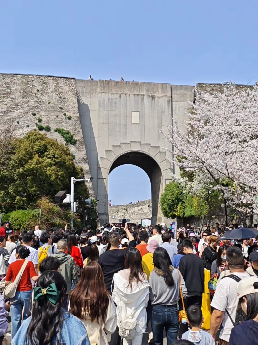 3.29实况！南京城墙又被游客攻陷啦！