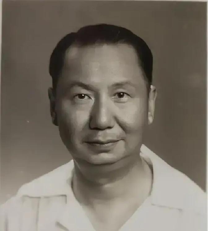 晚清名臣李鸿章的儿孙几乎都在海外成了身家过亿的富商巨贾，左宗棠没给儿孙留下巨额遗产，那么他的儿孙怎么样了呢？左宗棠的曾孙左景鉴就很有代表性。
 
火车开动前，左景鉴最后看了一眼站台上站着的女儿焕琛。她抿着嘴，没挥手，只是点了点头。左景鉴也点了点头，转身进了车厢。
 
窗外的上海渐渐退后。妻子龚之楠坐
