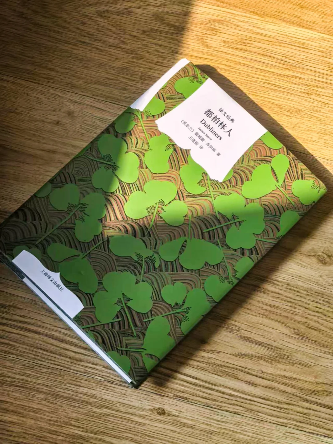 📚 我们都是都柏林人……