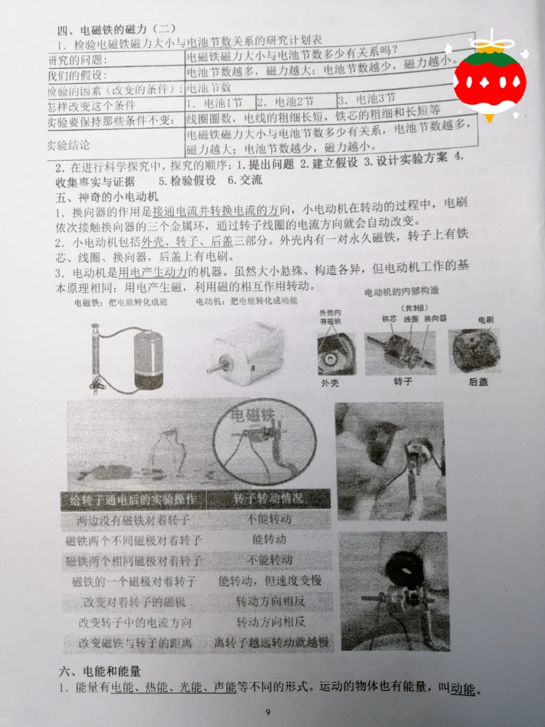 六上科学，复习资料《生物的多样性》