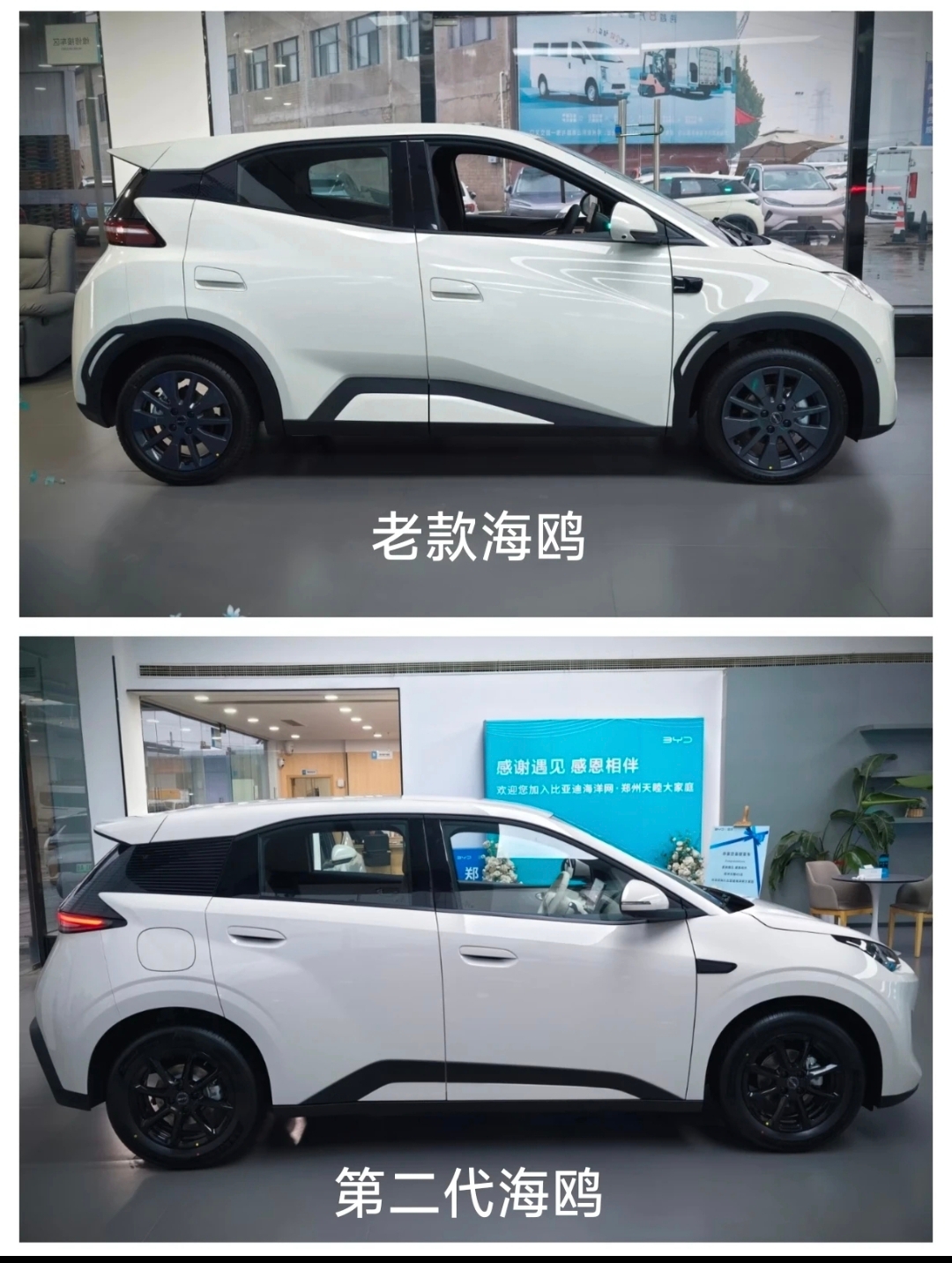 期待10月20日比亚迪第二代海鸥上市

比亚迪海洋网日前发布媒体邀请函，宣布第二代海鸥将于10月20日在郑州赛车场正式上市，上市三年来，海鸥累计销量已超150万辆，曾创下全球纯电车型累计销量最快破百万辆的记录，是名副其实的&34;国民神车&34;。

尺寸方面，第二代海鸥长宽高为4205/1810/1570mm
