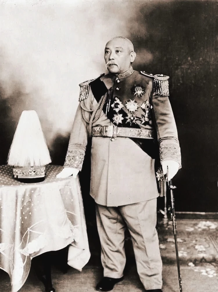 袁世凯一生娶妻十人，为何而死？