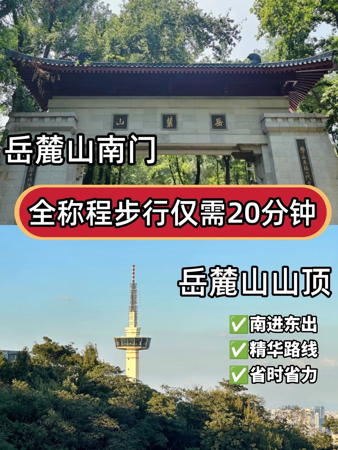 岳麓山南进东出20分钟登顶攻略✅