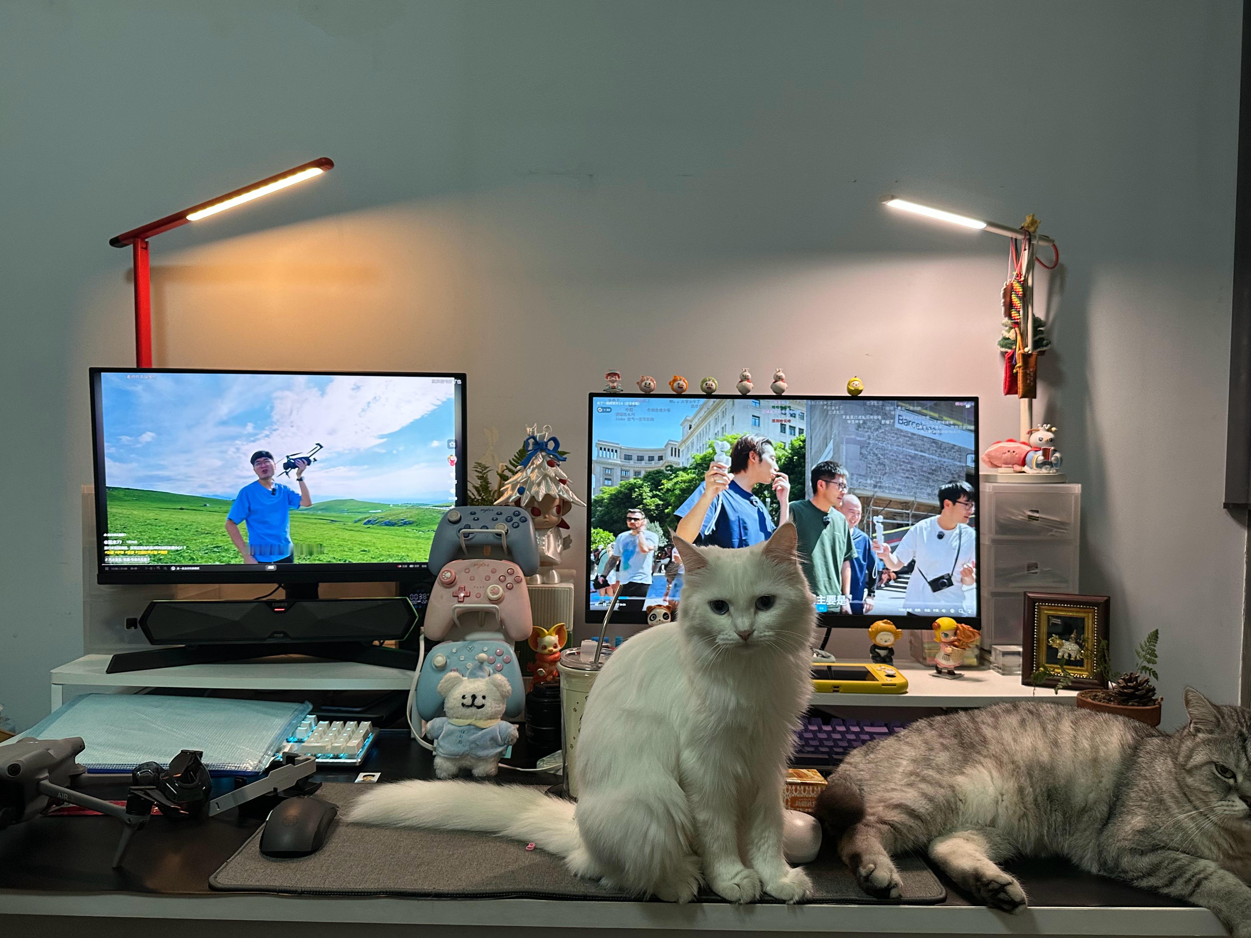 回来第一天吃撑[泪奔]
我：计划是一个月出去吃一顿 这种吃法会胖

一大早被迫加班 本来今天是休息！！！
上午干到十二点半 胎盘植入[裂开]

中午见面 吃了老去的那家
然后我俩半天时间
搬东西卸货他的一车行李
给他看房子租房子  
去我学车的地方报摩托车驾照
紧急去车管所报名登记
去单位打印资料
回 ​