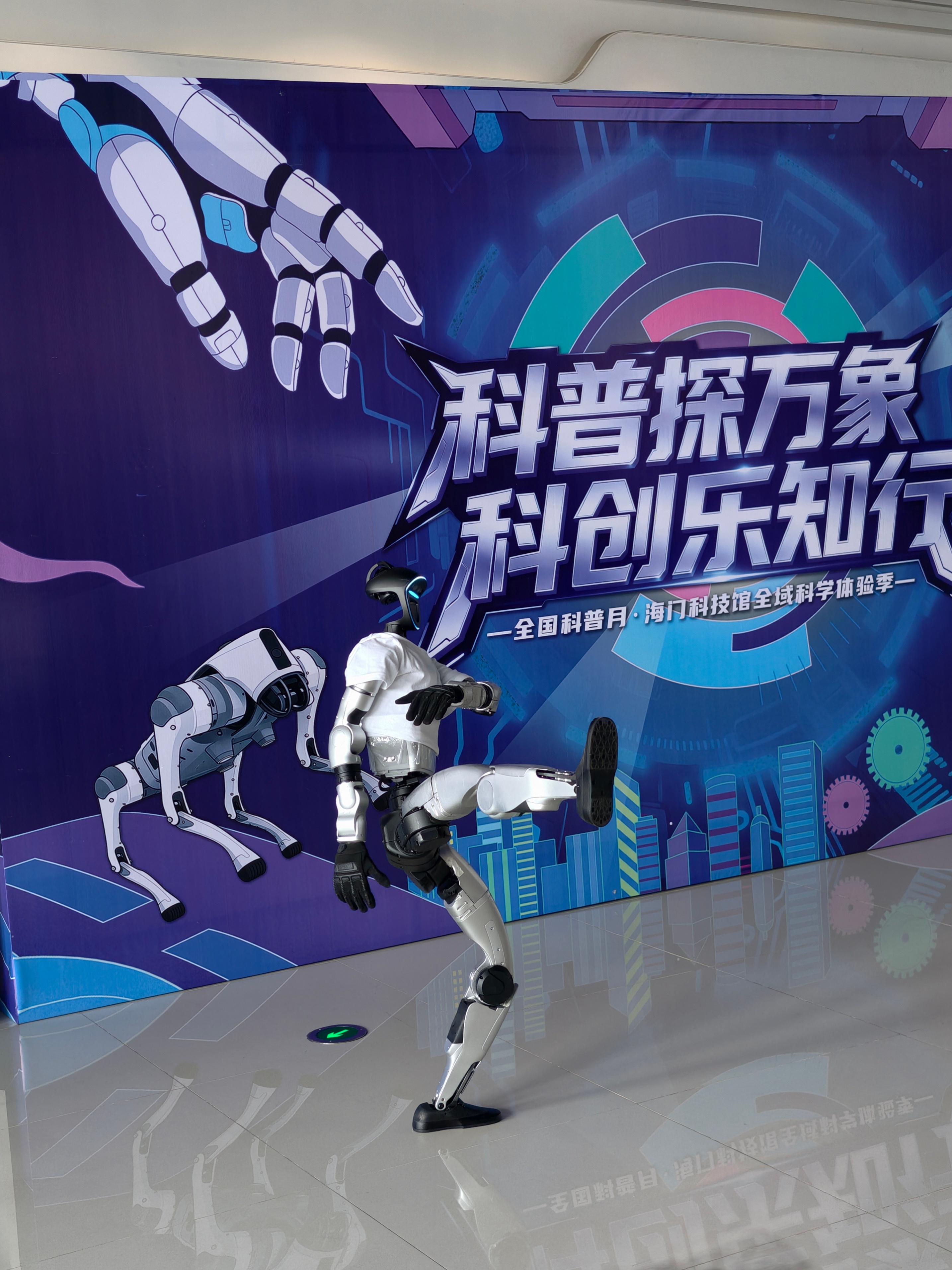 《死虫式》《中国功夫》

《九月九日忆山东兄弟》，一时间完全想不起来第一句，痛失获得由机器狗驮上来的重阳糕的机会～[二哈] ​
