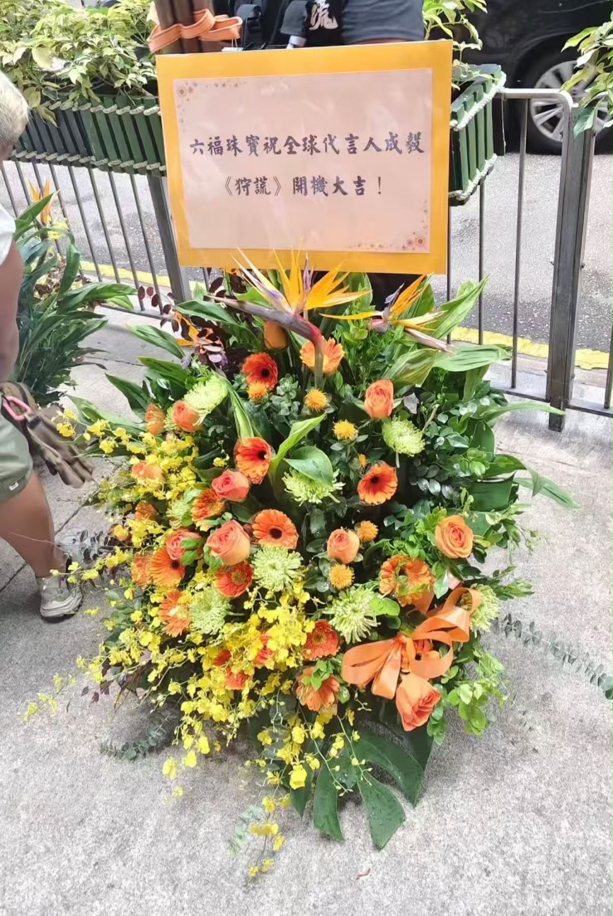 继开机花篮后，六福珠宝送给全球代言人成毅的杀青花篮来了💐
祝成毅@成毅 杀青大吉，《狩谎》大爆！
成毅狩谎