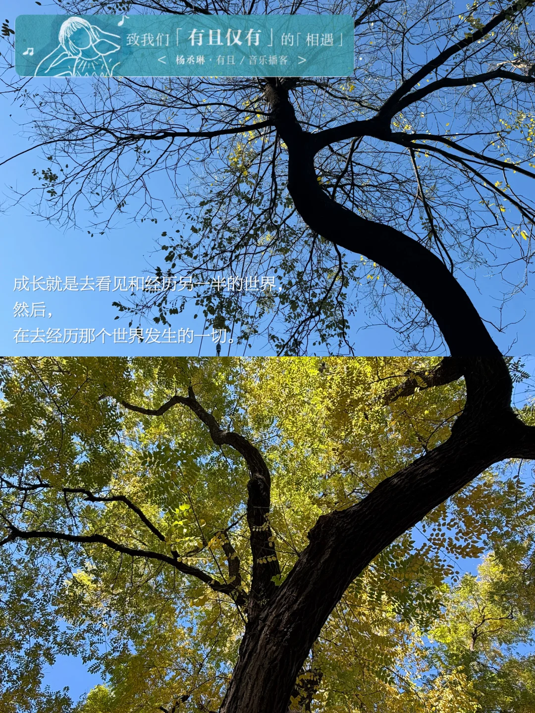 成长就是 去看见和经历另一半的世界