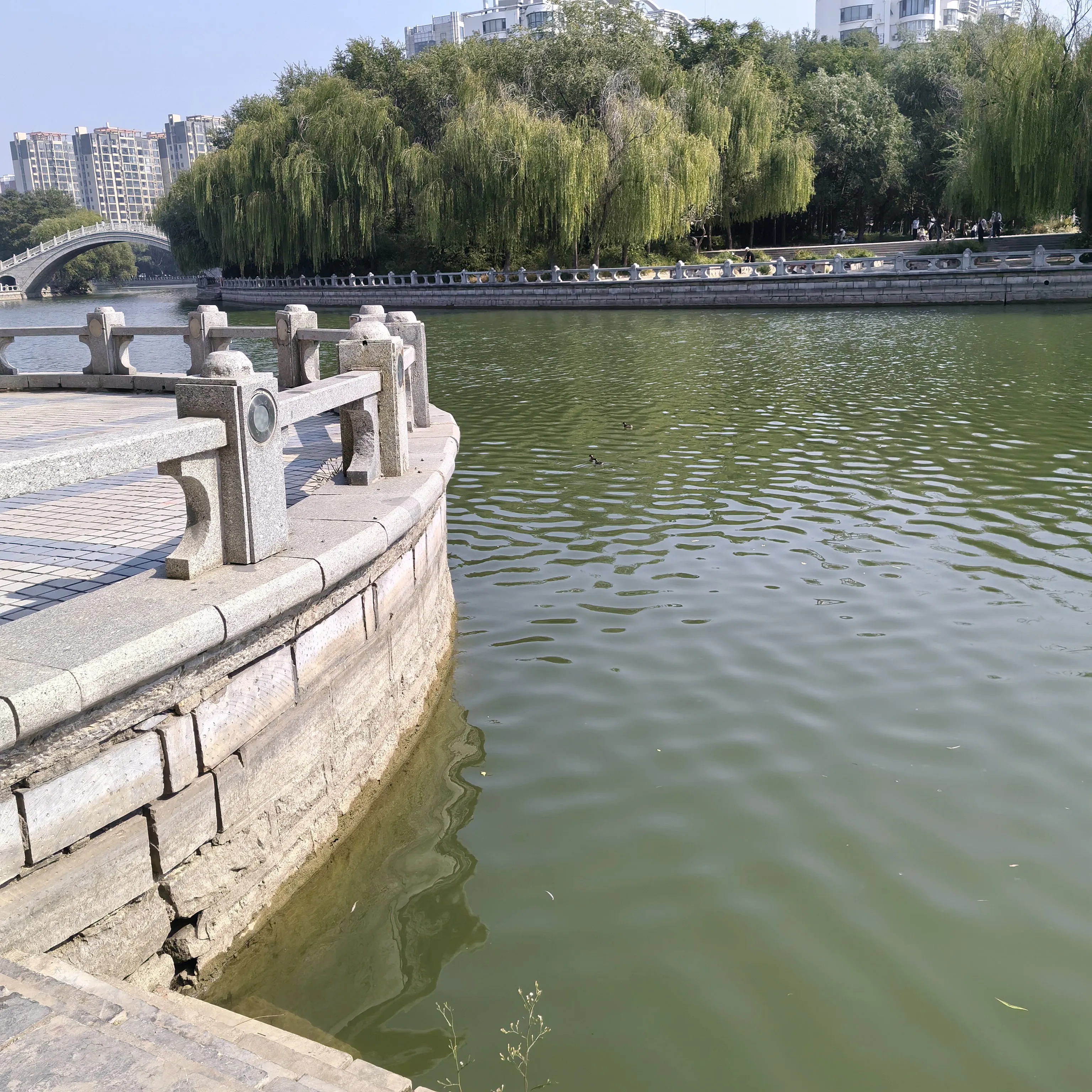 这气置得把自己弄的里外不是，无家可归！趁年轻，赶快再找一个吧，千万别犯第一次的错