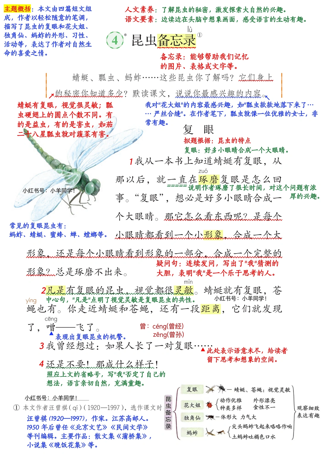 三年级下册丨第4课《昆虫备忘录》语文笔记