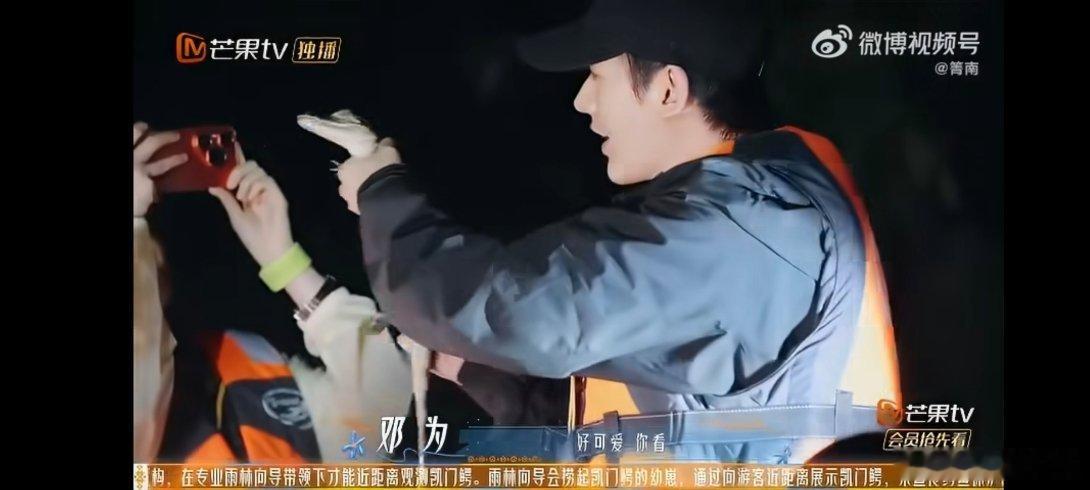 #殷桃叫邓为和鳄鱼kiss#很难得见到邓为这样的一面，面对凯门鳄不怯场，还愿意主动凑上去近距离接触，👍🏻#花儿与少年# ​