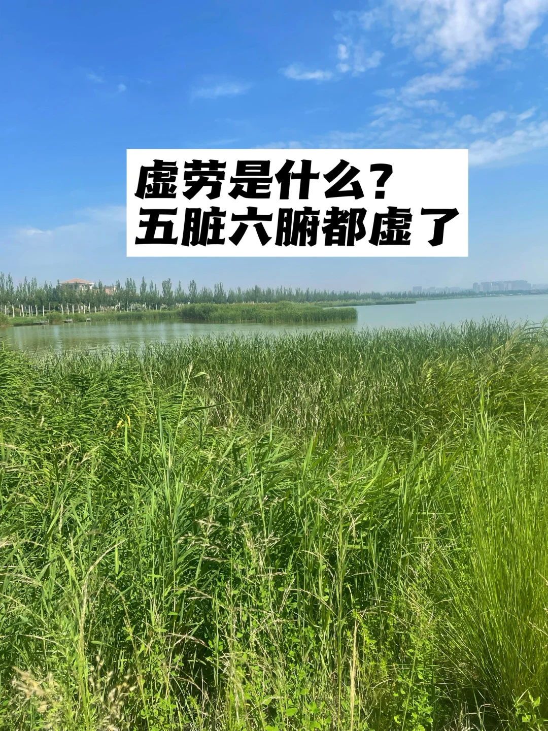 虚劳是什么？五脏六腑都虚了.
