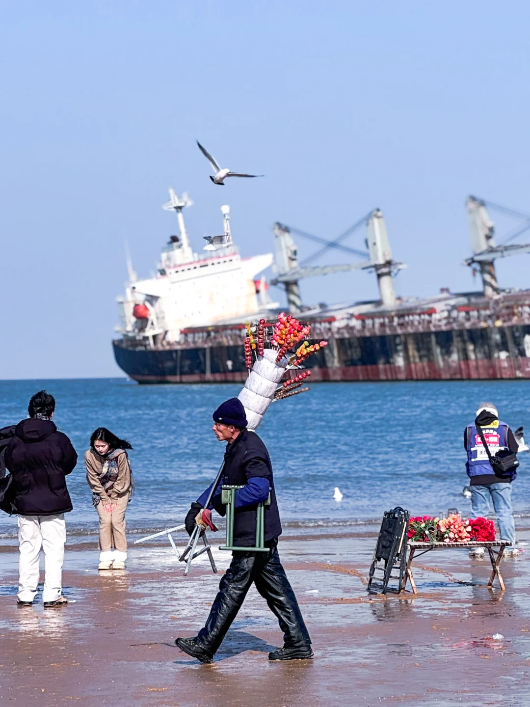 布鲁维斯冰糖葫芦老爷爷