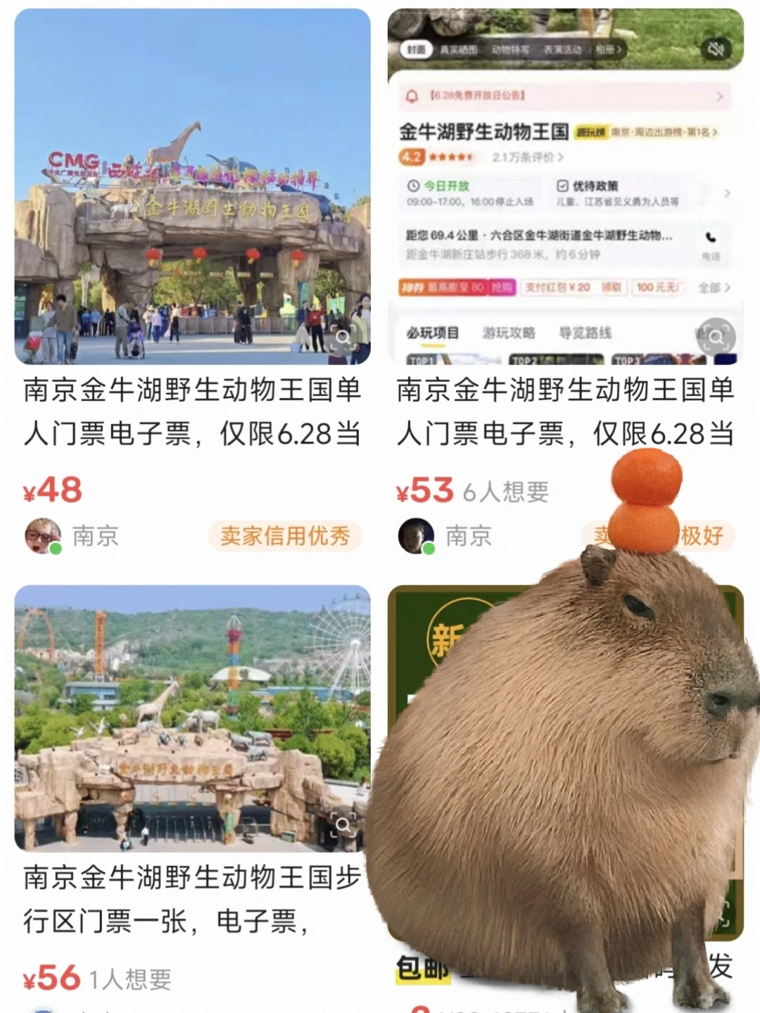 金牛湖野生动物王国免费，抢不到票都在这！