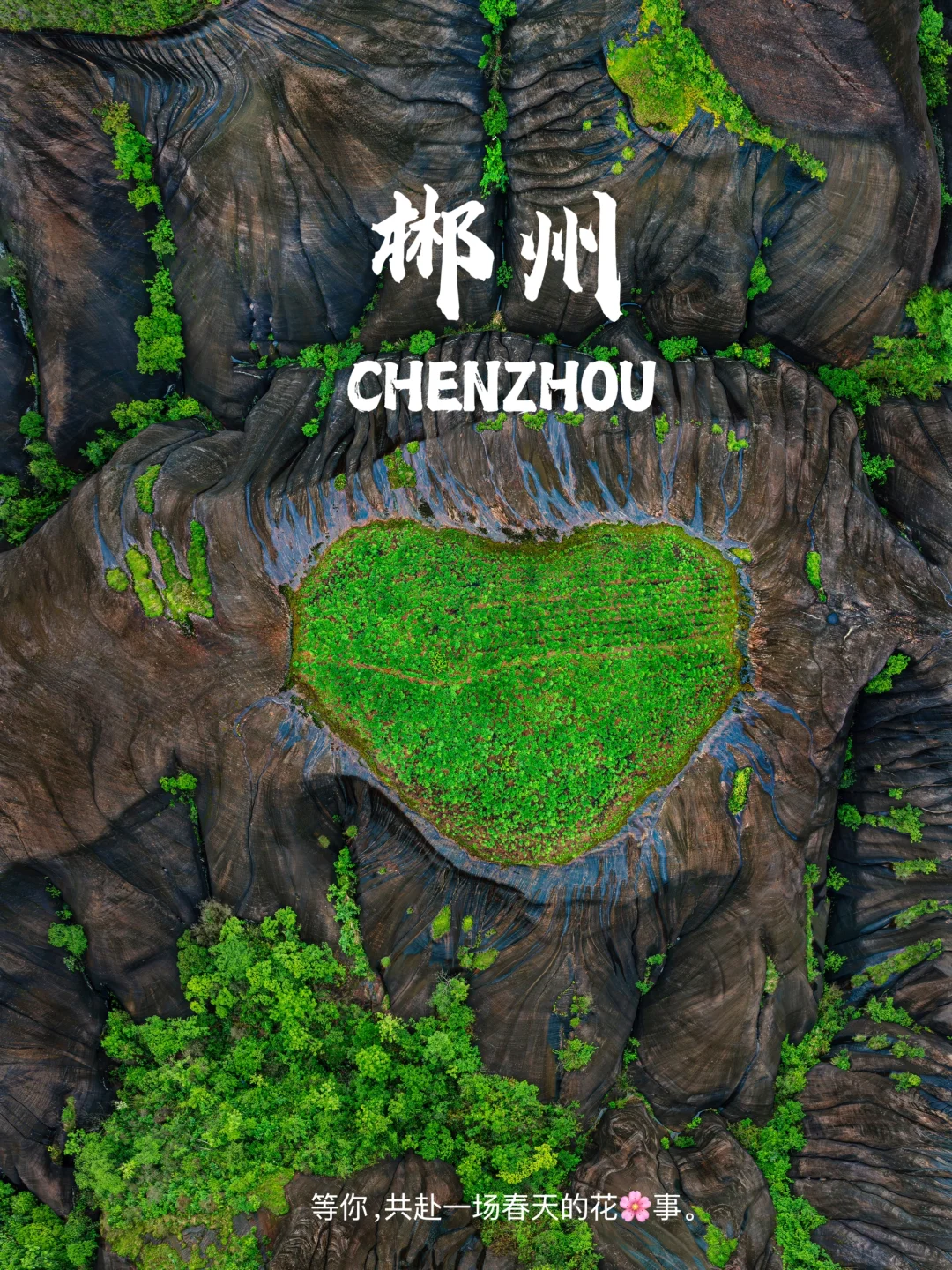 郴州限定！穿越千年赴一场春日花朝盛宴🌸