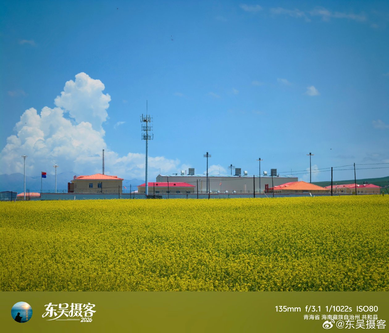 #摄影世界[超话]# 天地把最干净的蓝与最热烈的黄，都留在了青海湖畔。
#微博影像年##人间着色##黄文说##带着微博去旅行##500px生而为影##生活手记#  ​