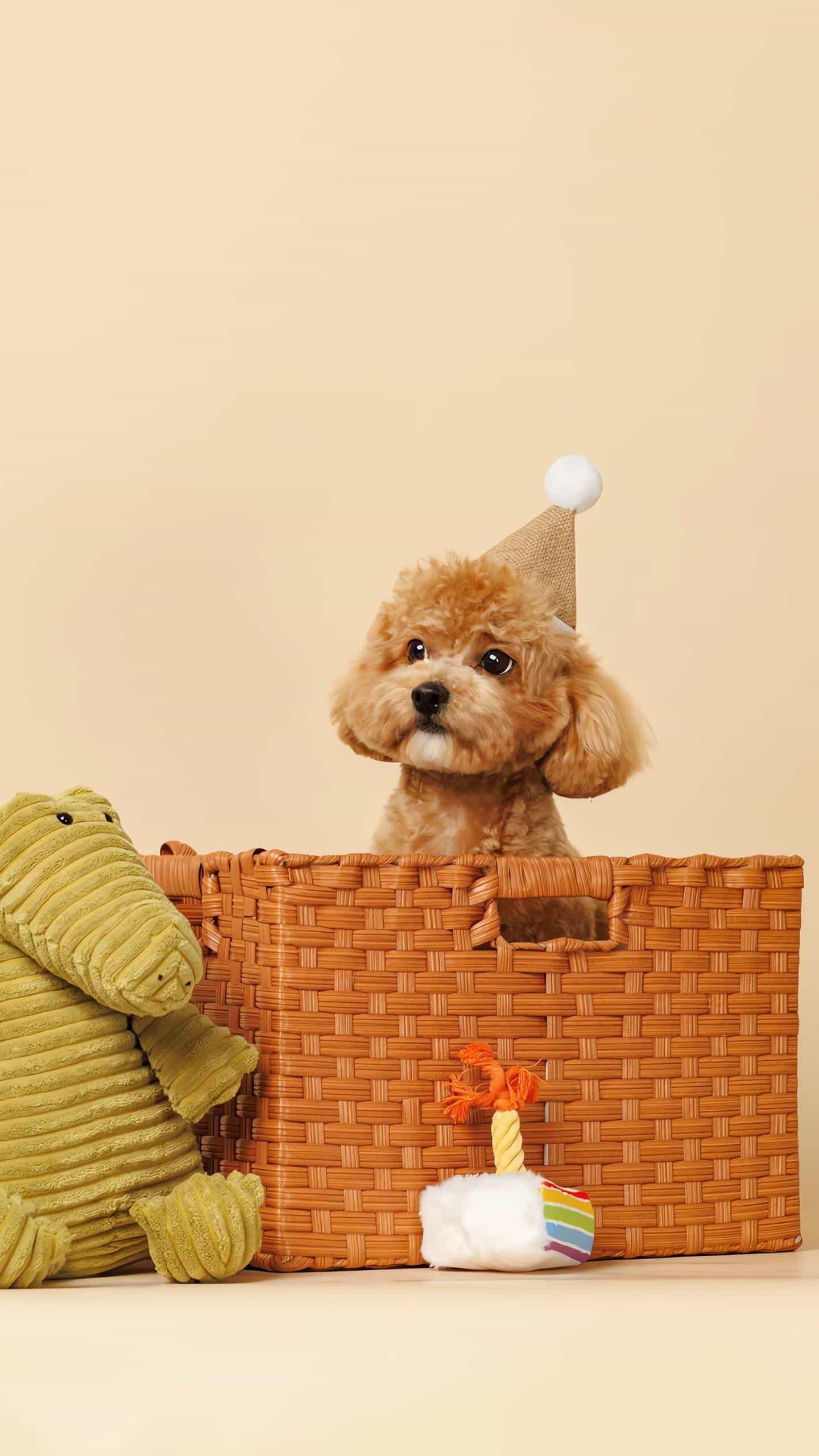 势利换了种说法而已