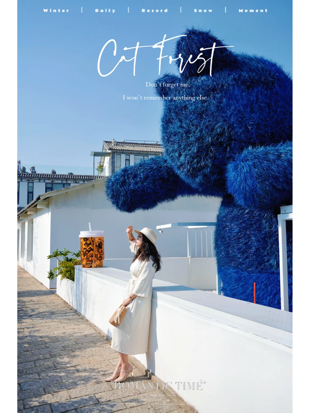 大理慢时光｜在洱海边邂逅猫咪森林