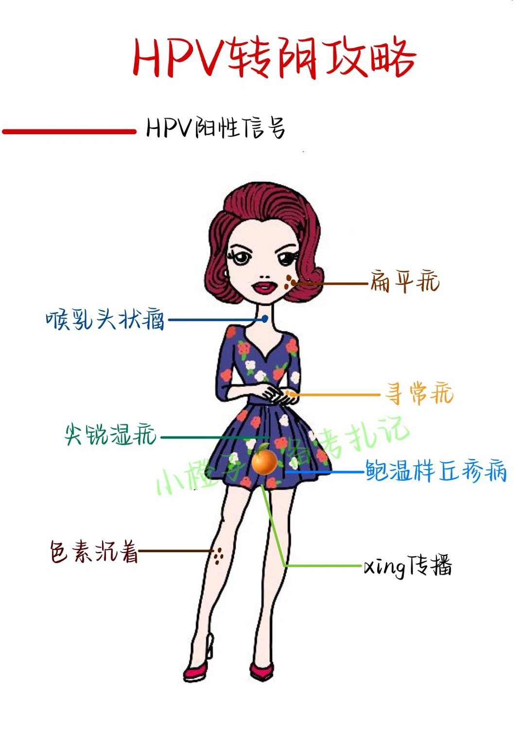 📖女生必知的HPV转阴攻略