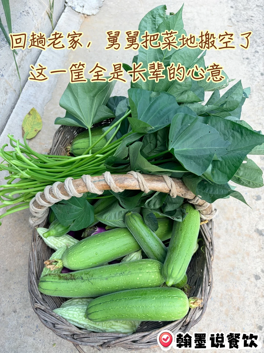 回一趟老家，后备箱被舅舅的菜地塞满！