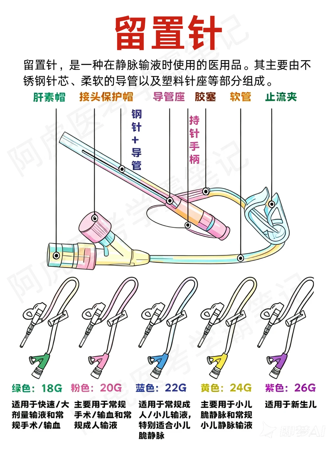 阿虎医考笔记📒认识留置针❤️