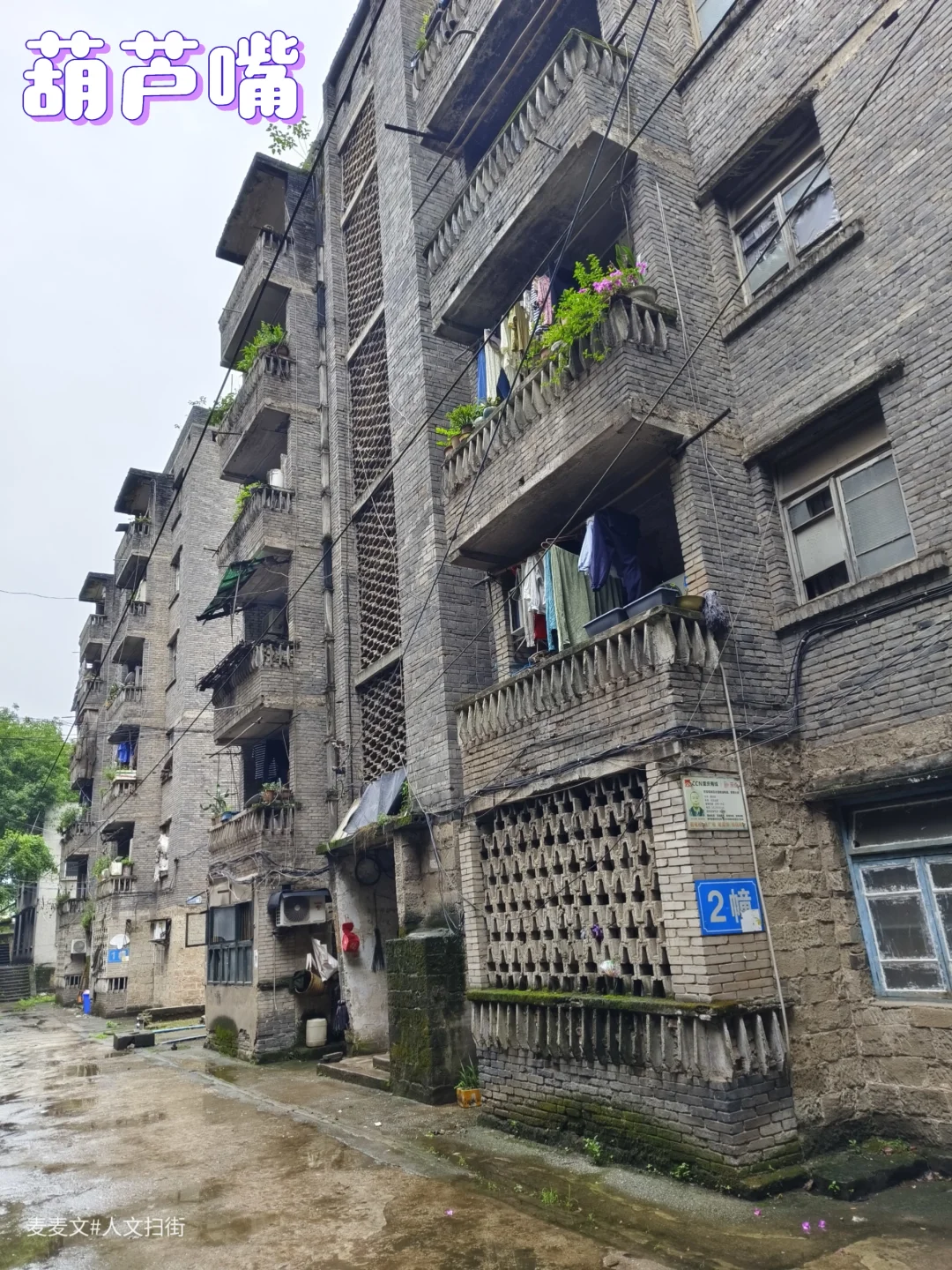 【巴南】葫芦嘴半岛青砖墙上的岁月痕迹