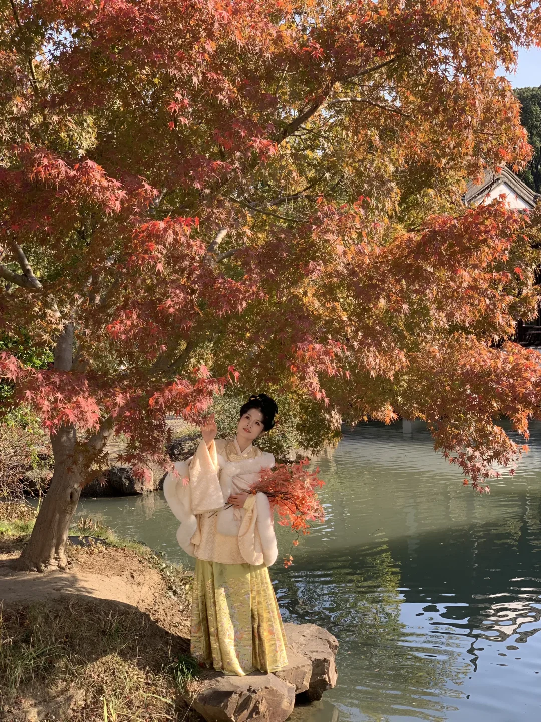 11.18实拍‼️苏州虎丘真的杀疯了🍁红橙黄绿