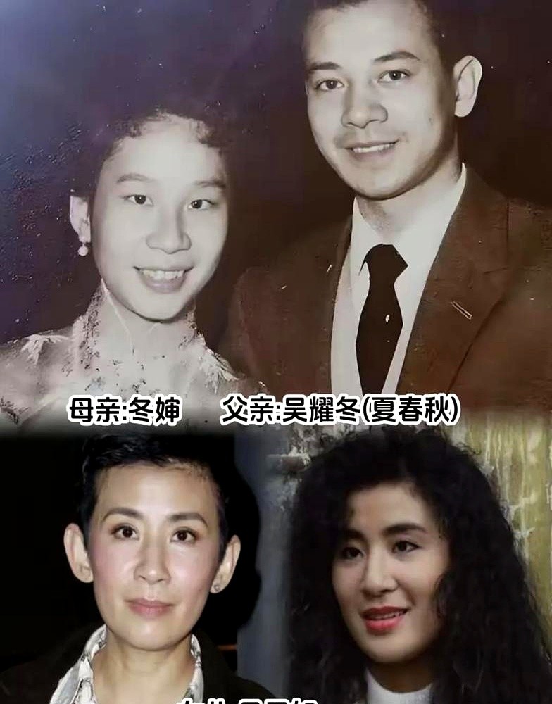 梁家辉死死牵着身材走样的江嘉年逛街，周润发和陈荟莲蹲在街边吸溜云吞面。

外界总笑陈荟莲长得普，江嘉年胖得没法看。但梁家辉当年落魄摆地摊时，是江嘉年硬把他拽回片场。发哥几十年的账本合同，全靠陈荟莲一手包办。

刘德华摔马重伤，朱丽倩寸步不离守在病床前端水喂药。脸蛋在娱乐圈最不值钱，能挡事儿的才是真佛