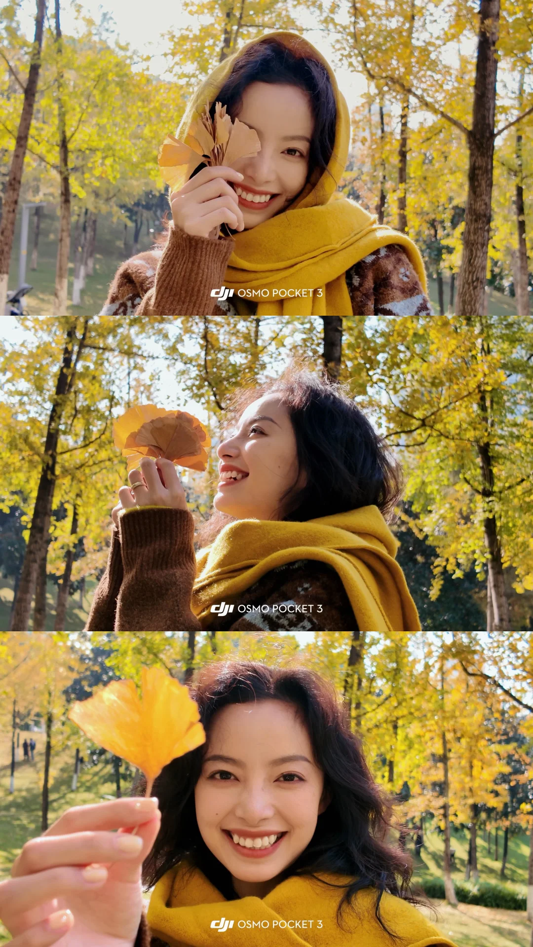 大疆pocket3里的浪漫秋日live，也太像电影了