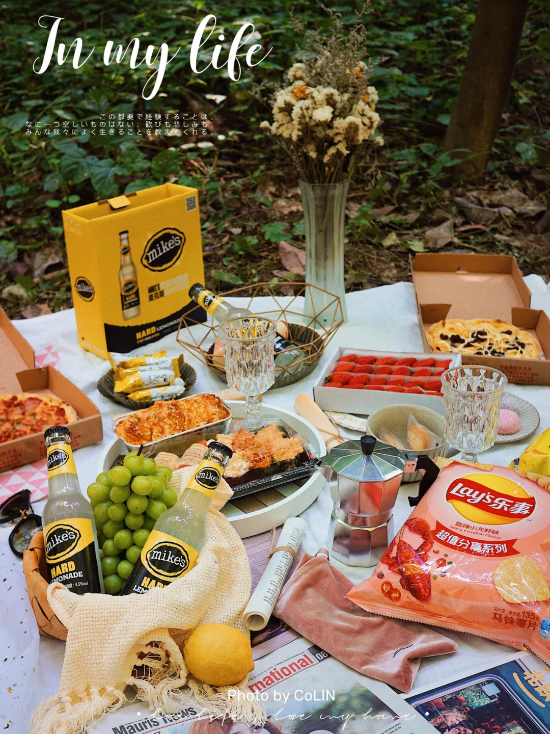 初秋森林系野餐攻略🍣集浪漫和有趣为一体