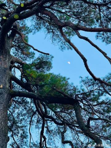 几个月前，昉就开始做元旦假期计划，商量要在哪个城市碰面。之前有我找她...